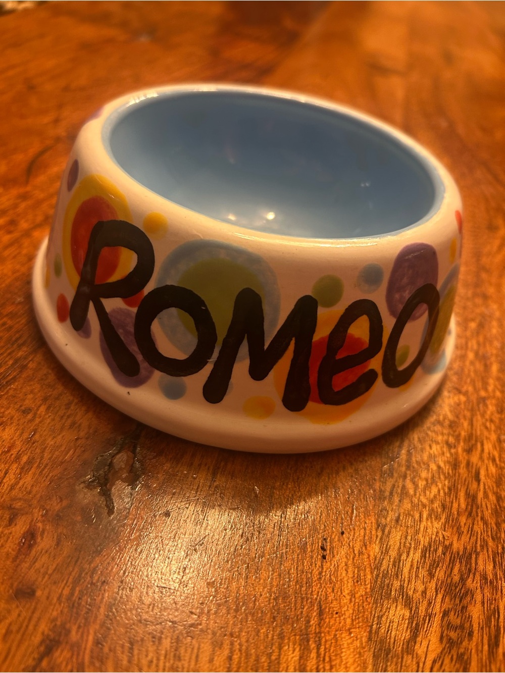 Custom Ceramic Pet Bowl in Blue with Colorful Dot Accents